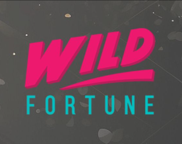 Wild Fortune Casino – Recenzja kasyna online